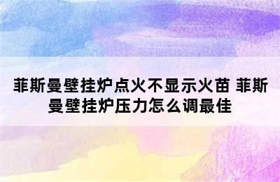 菲斯曼壁挂炉点火不显示火苗 菲斯曼壁挂炉压力怎么调最佳